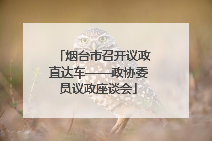 烟台市召开议政直达车——政协委员议政座谈会