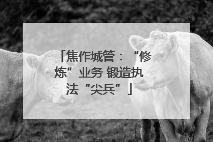 焦作城管：“修炼”业务 锻造执法“尖兵”