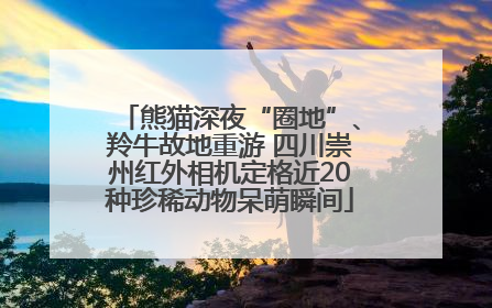 熊猫深夜“圈地”、羚牛故地重游 四川崇州红外相机定格近20种珍稀动物呆萌瞬间