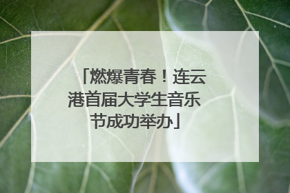燃爆青春！连云港首届大学生音乐节成功举办
