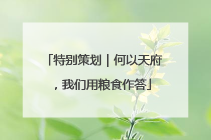 特别策划｜何以天府，我们用粮食作答