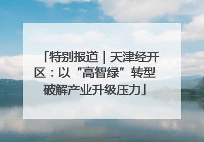 特别报道｜天津经开区：以“高智绿”转型破解产业升级压力