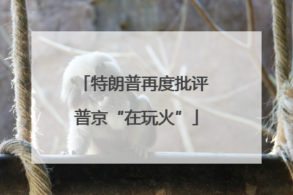 特朗普再度批评普京“在玩火”