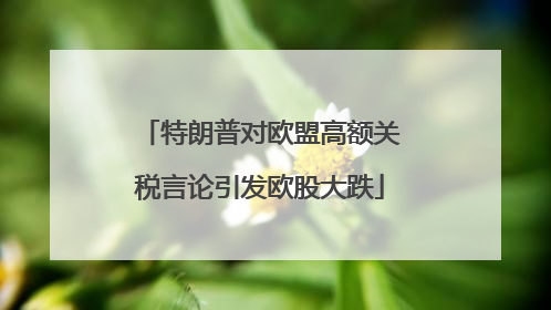 特朗普对欧盟高额关税言论引发欧股大跌