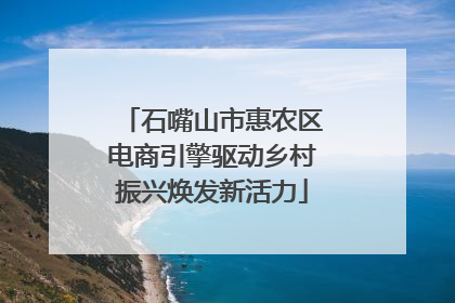 石嘴山市惠农区电商引擎驱动乡村振兴焕发新活力