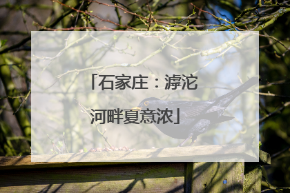 石家庄：滹沱河畔夏意浓