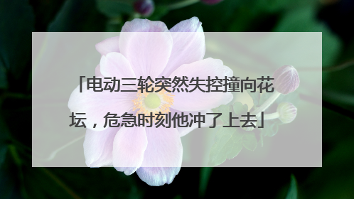 电动三轮突然失控撞向花坛，危急时刻他冲了上去