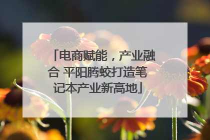 电商赋能，产业融合 平阳腾蛟打造笔记本产业新高地