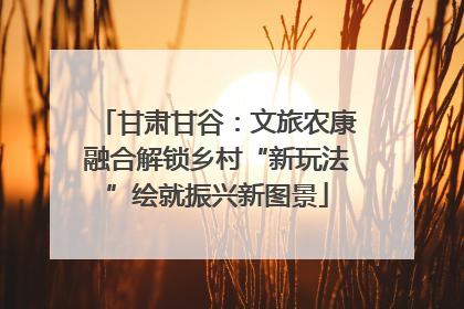 甘肃甘谷：文旅农康融合解锁乡村“新玩法”绘就振兴新图景