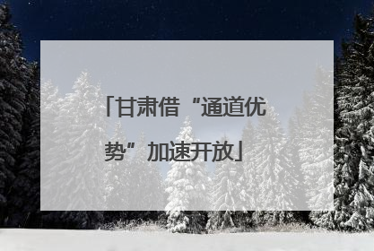 甘肃借“通道优势”加速开放