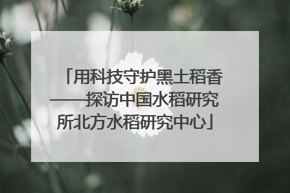 用科技守护黑土稻香——探访中国水稻研究所北方水稻研究中心