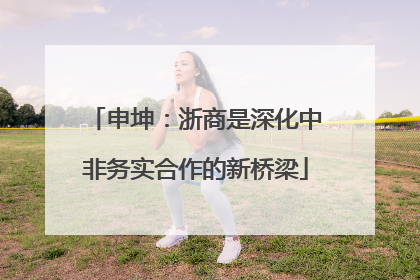 申坤：浙商是深化中非务实合作的新桥梁