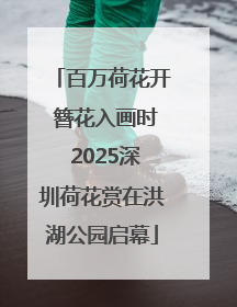 百万荷花开 簪花入画时 2025深圳荷花赏在洪湖公园启幕