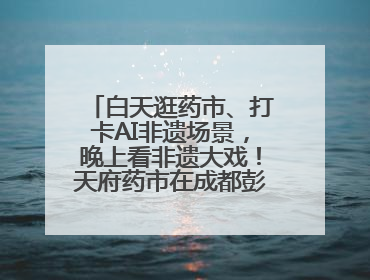 白天逛药市、打卡AI非遗场景，晚上看非遗大戏！天府药市在成都彭州开幕