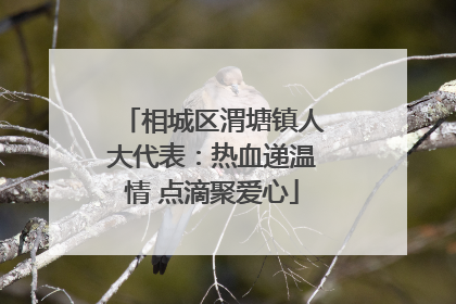 相城区渭塘镇人大代表：热血递温情 点滴聚爱心