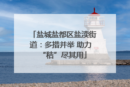 盐城盐都区盐渎街道：多措并举 助力“秸”尽其用