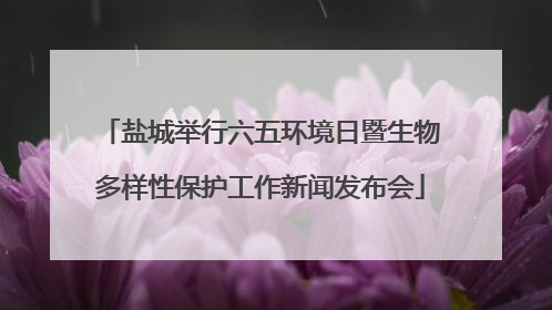盐城举行六五环境日暨生物多样性保护工作新闻发布会