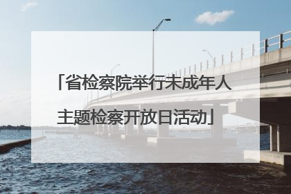 省检察院举行未成年人主题检察开放日活动