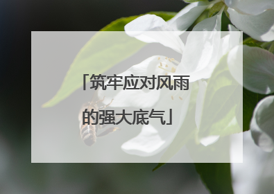 筑牢应对风雨的强大底气
