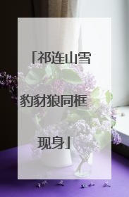 祁连山雪豹豺狼同框现身
