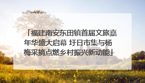 福建南安东田镇首届文旅嘉年华盛大启幕 圩日市集与杨梅采摘点燃乡村振兴新动能