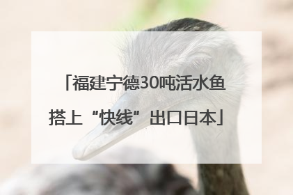 福建宁德30吨活水鱼搭上“快线”出口日本
