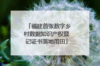 福建首张数字乡村数据知识产权登记证书落地莆田