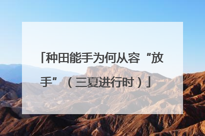 种田能手为何从容“放手”（三夏进行时）