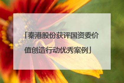 秦港股份获评国资委价值创造行动优秀案例