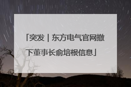 突发｜东方电气官网撤下董事长俞培根信息