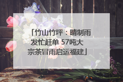 竹山竹坪：晴制雨发忙赶单 57吨大宗茶冒雨启运福建