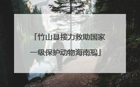 竹山县接力救助国家一级保护动物海南鳽