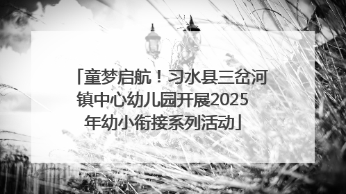 童梦启航！习水县三岔河镇中心幼儿园开展2025年幼小衔接系列活动