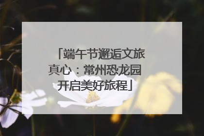 端午节邂逅文旅真心：常州恐龙园开启美好旅程