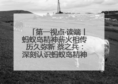 第一视点·读端丨蚂蚁岛精神薪火相传历久弥新 蔡之兵：深刻认识蚂蚁岛精神的“精气神”