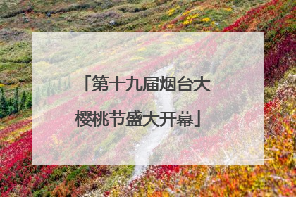 第十九届烟台大樱桃节盛大开幕