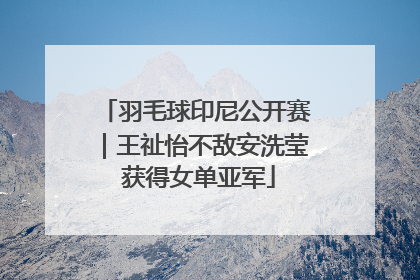 羽毛球印尼公开赛｜王祉怡不敌安洗莹 获得女单亚军