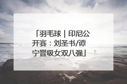 羽毛球｜印尼公开赛：刘圣书/谭宁晋级女双八强
