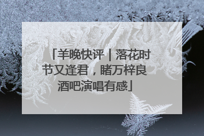羊晚快评｜落花时节又逢君，睹万梓良酒吧演唱有感