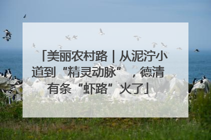美丽农村路｜从泥泞小道到“精灵动脉”，德清有条“虾路”火了