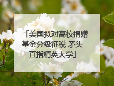 美国拟对高校捐赠基金分级征税 矛头直指精英大学