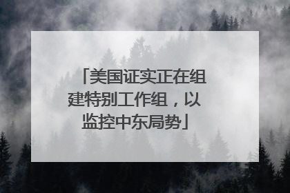 美国证实正在组建特别工作组，以监控中东局势