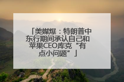 美媒爆：特朗普中东行期间承认自己和苹果CEO库克“有点小问题”