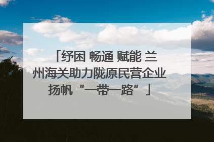 纾困 畅通 赋能 兰州海关助力陇原民营企业扬帆“一带一路”