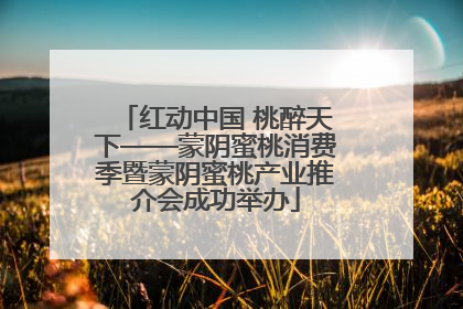 红动中国 桃醉天下——蒙阴蜜桃消费季暨蒙阴蜜桃产业推介会成功举办