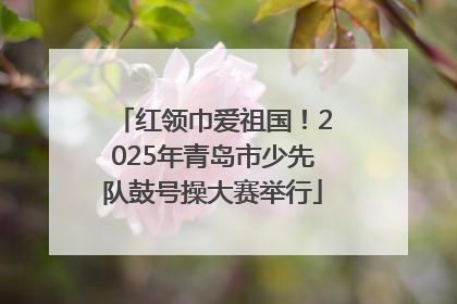 红领巾爱祖国！2025年青岛市少先队鼓号操大赛举行