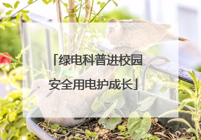 绿电科普进校园 安全用电护成长
