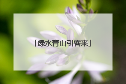 绿水青山引客来