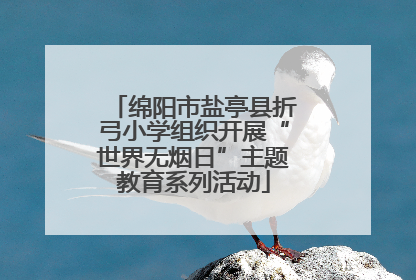 绵阳市盐亭县折弓小学组织开展“世界无烟日”主题教育系列活动