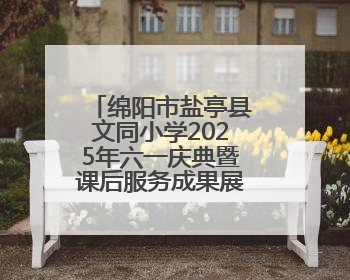 绵阳市盐亭县文同小学2025年六一庆典暨课后服务成果展圆满落幕